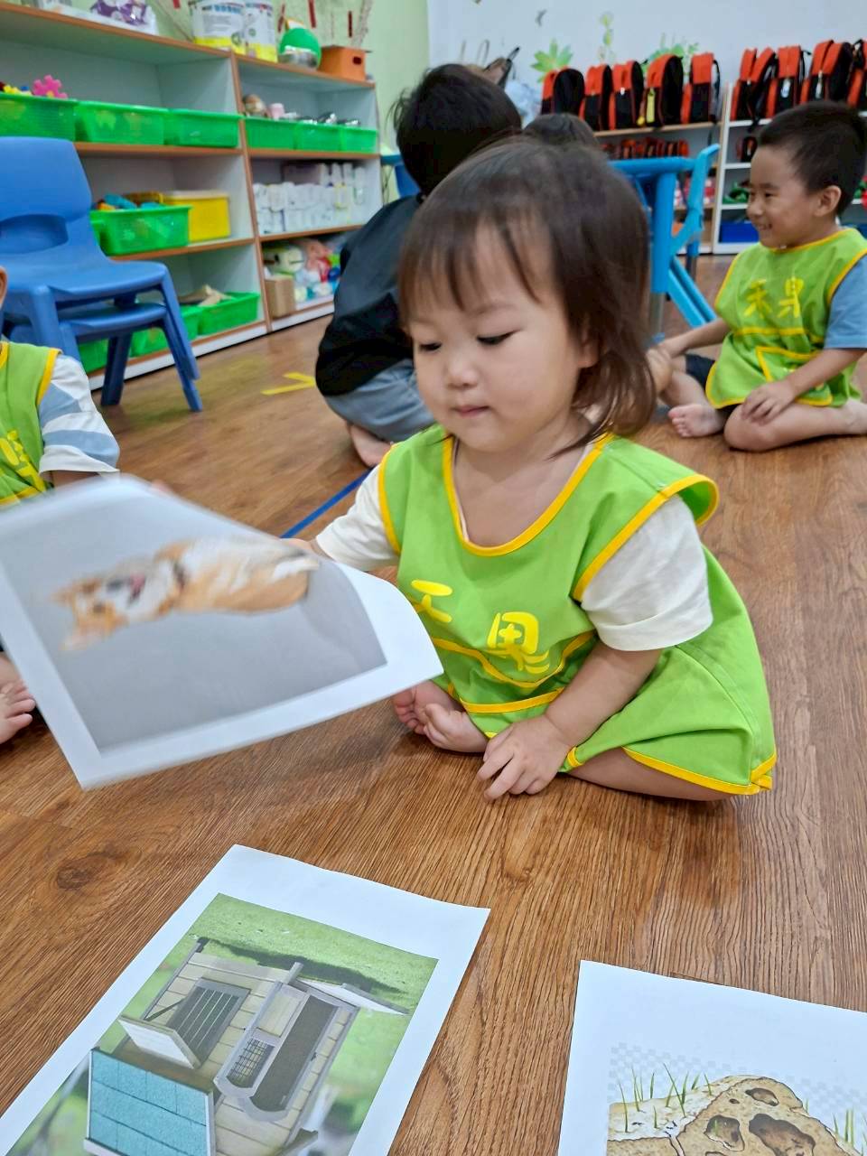 114下學期幼幼班生活分享