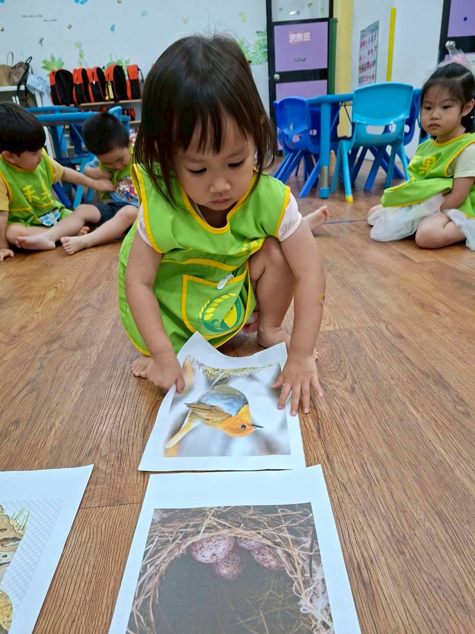 114下學期幼幼班生活分享