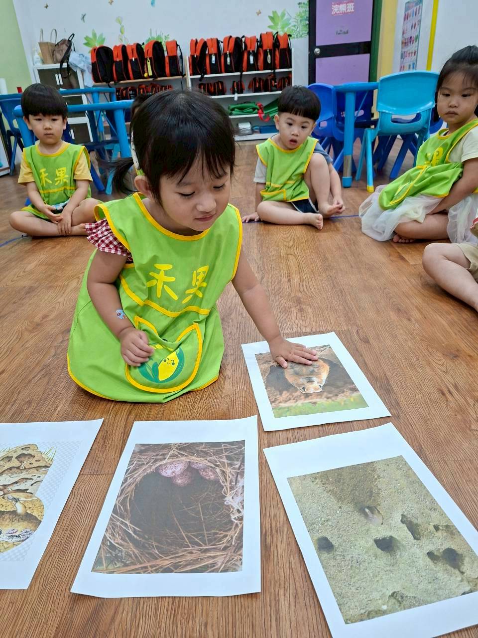 114下學期幼幼班生活分享