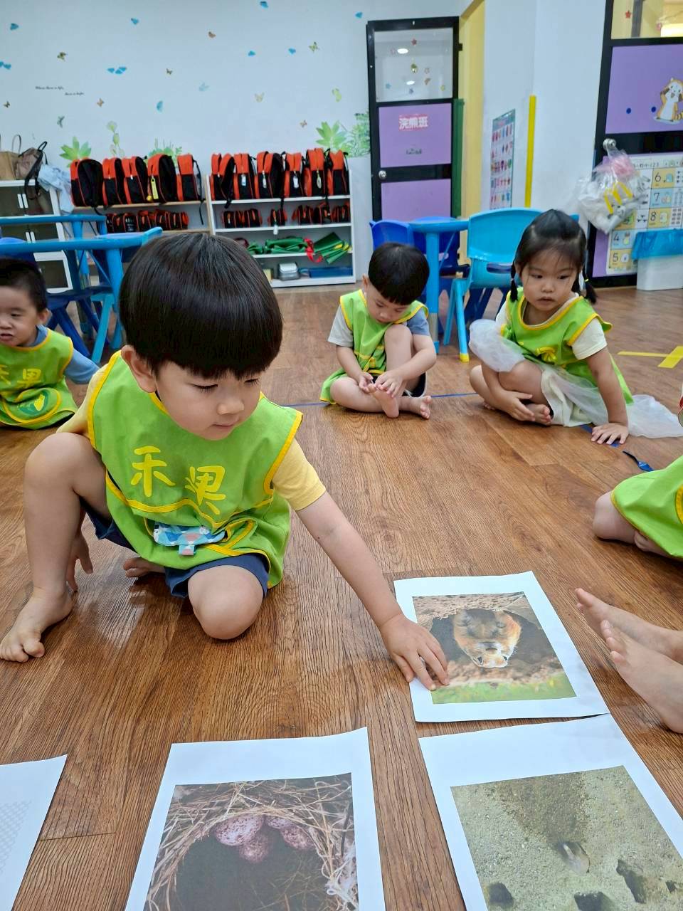 114下學期幼幼班生活分享