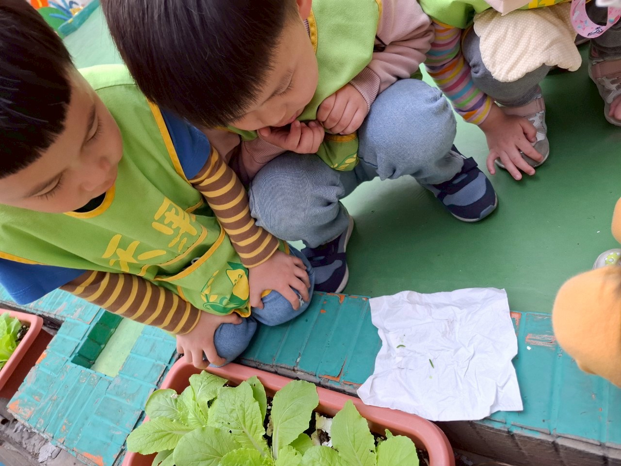 113下學期小班生活花絮