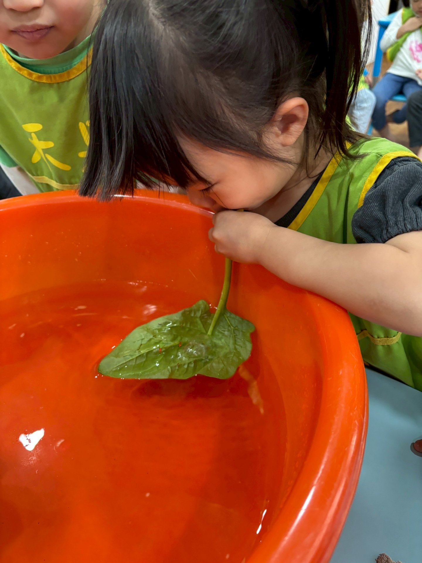 113下學期小班生活花絮