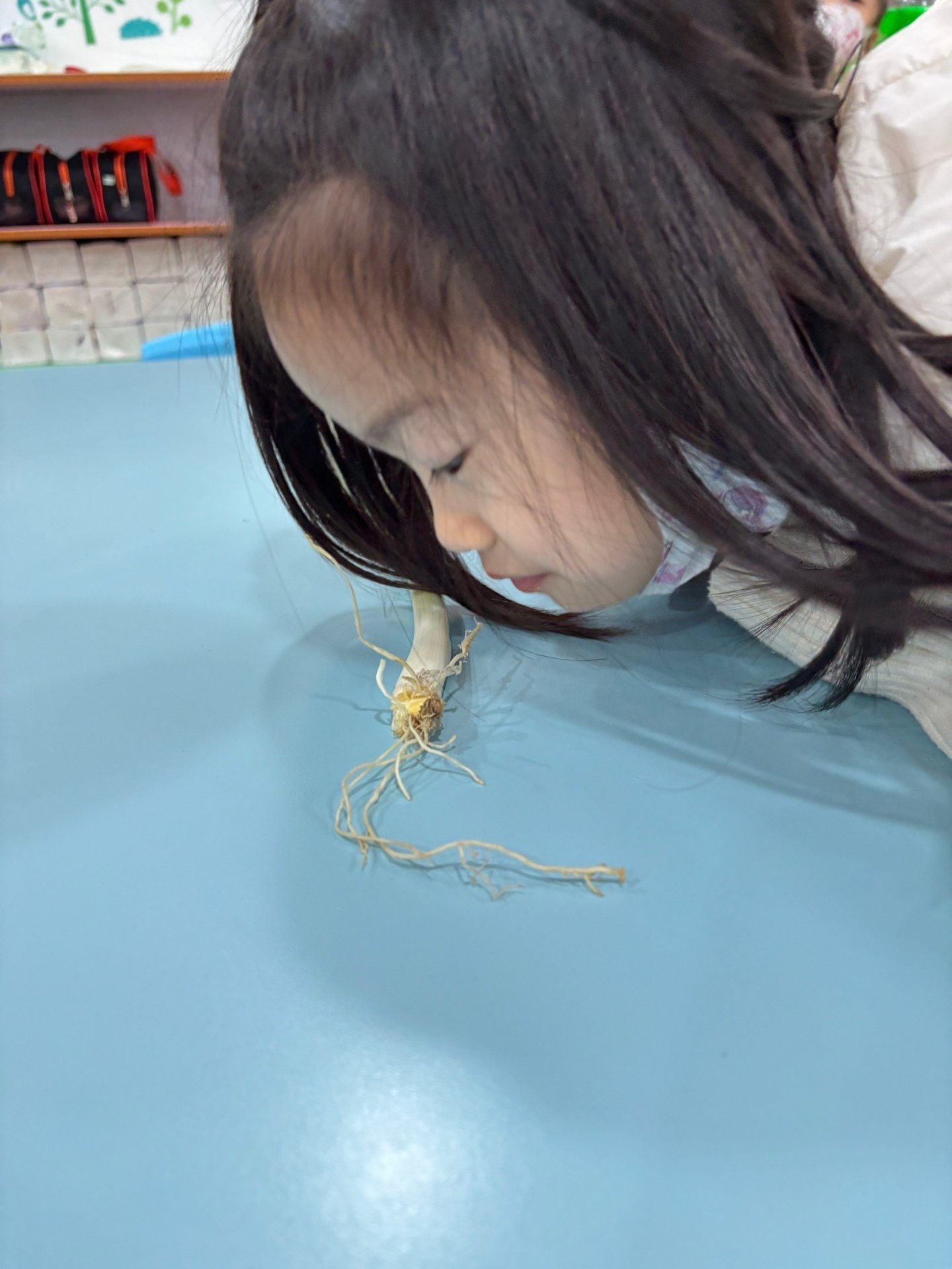 113下學期小班生活花絮