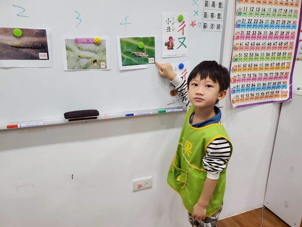 113下學期中大班花絮