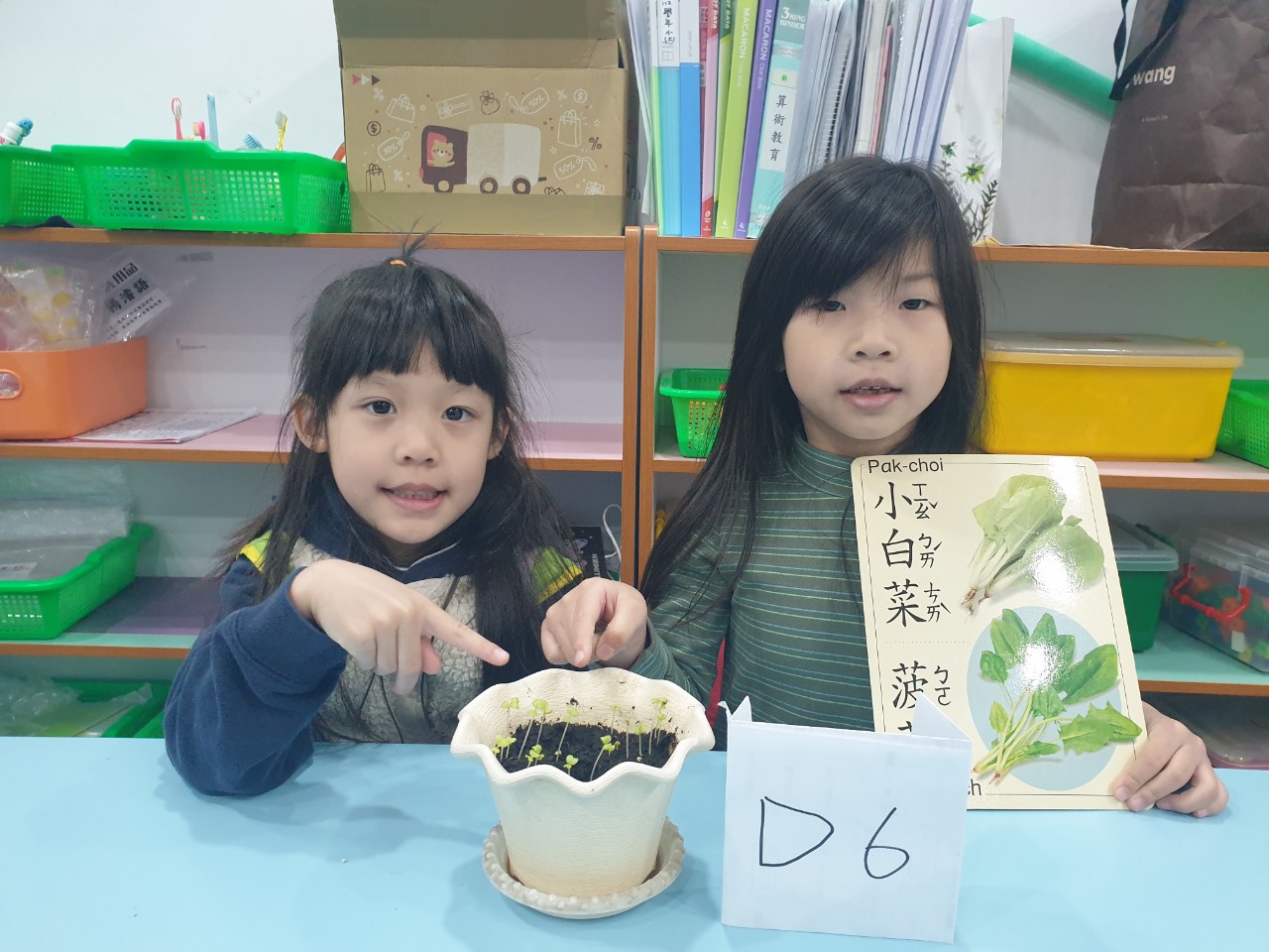 113下學期中大班花絮